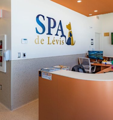 2025-projet-976-photo-intérieur-9061