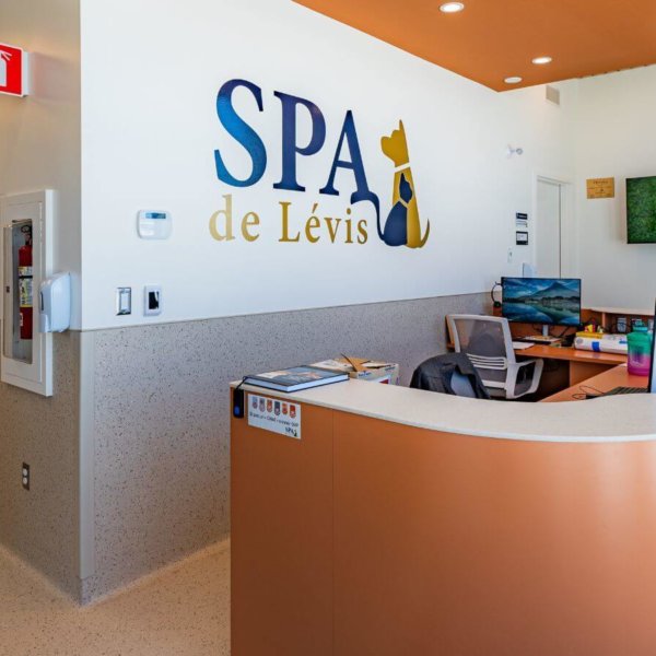 2025-projet-976-photo-intérieur-9061