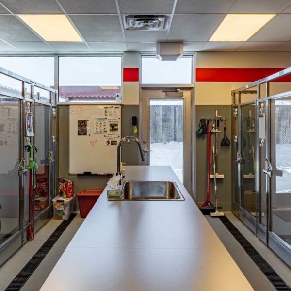 2025-projet-976-photo-intérieur-9064